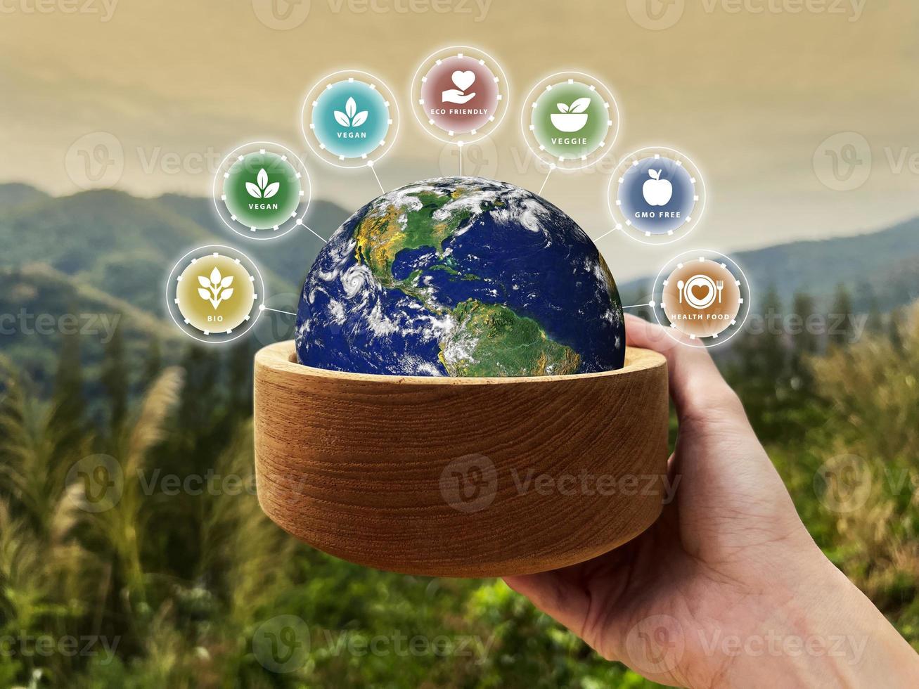 Sustainable food concept on blurred nature background, plant based, Green food, eco living, environmental, Elements of this image furnished by NASA photo