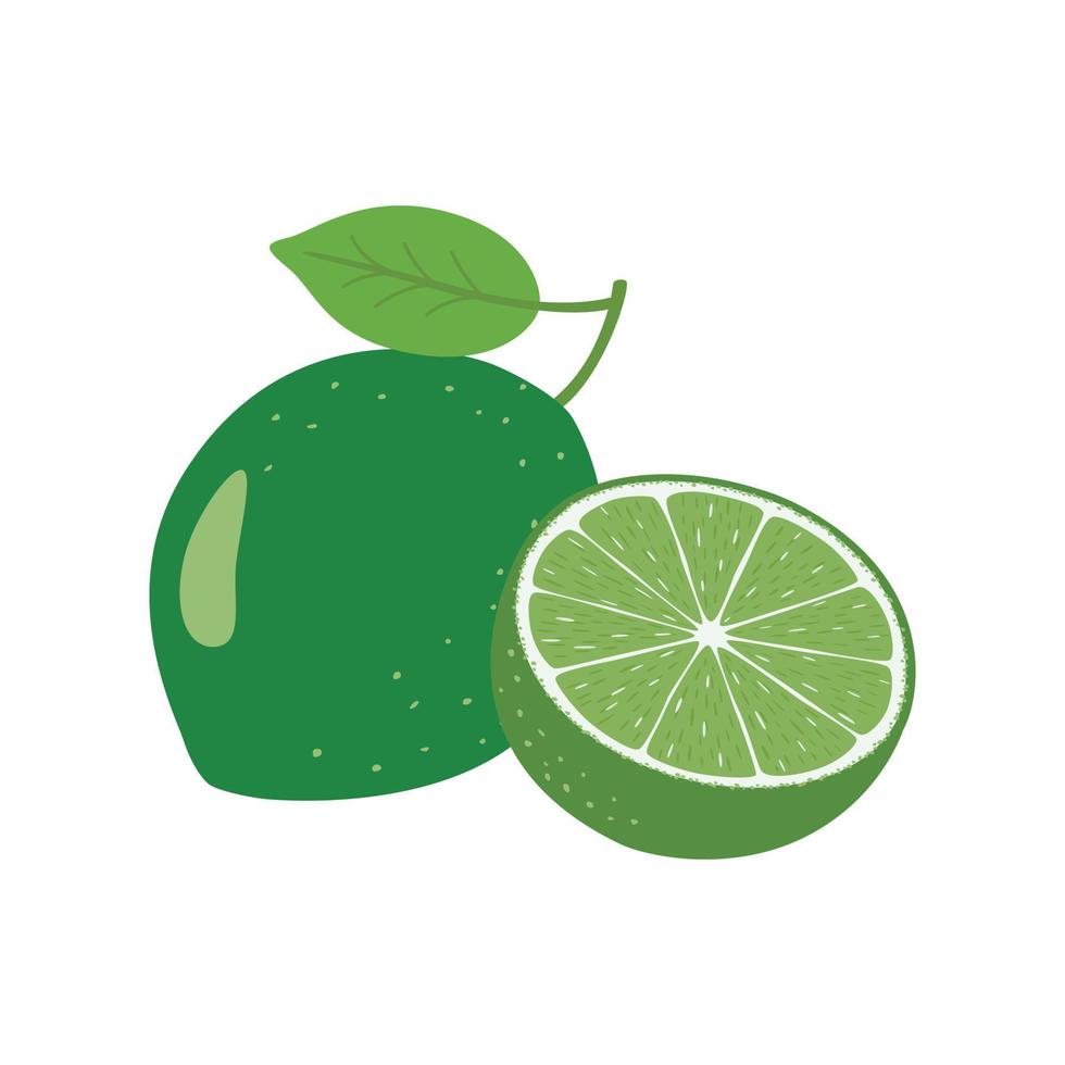 ilustración de fruta de lima vector