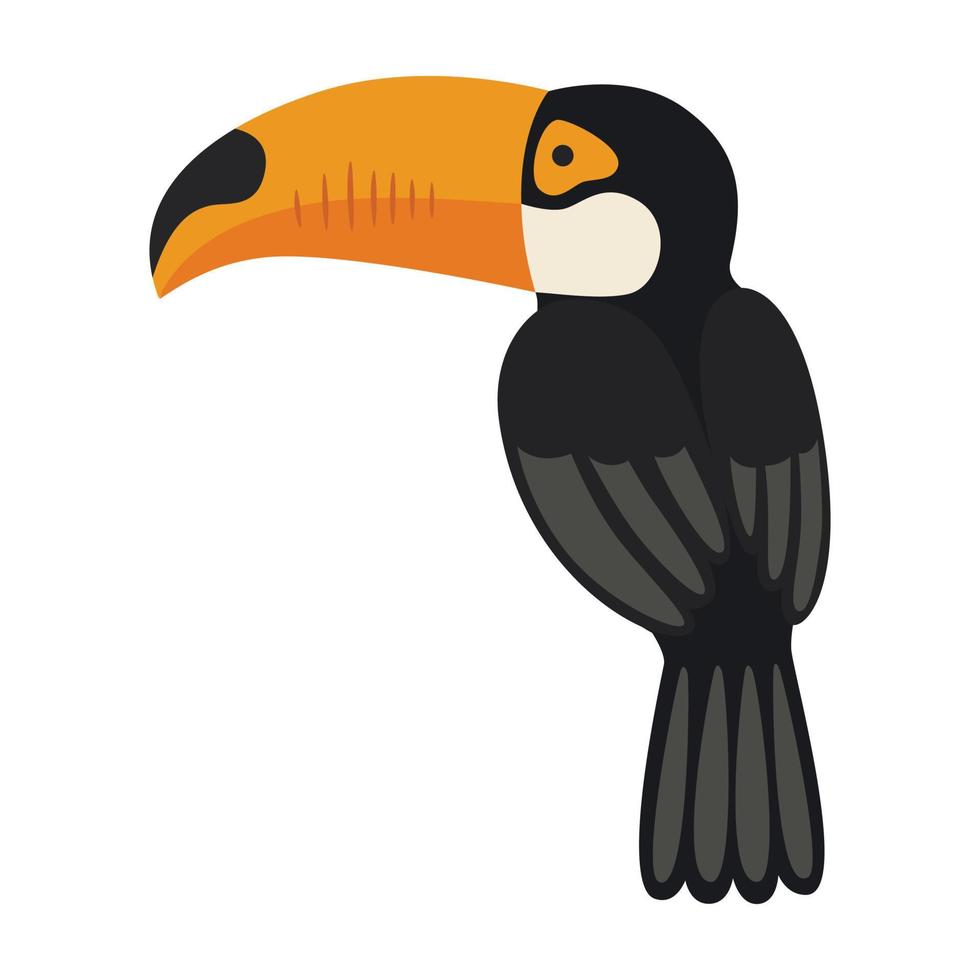 toucan from the back vector