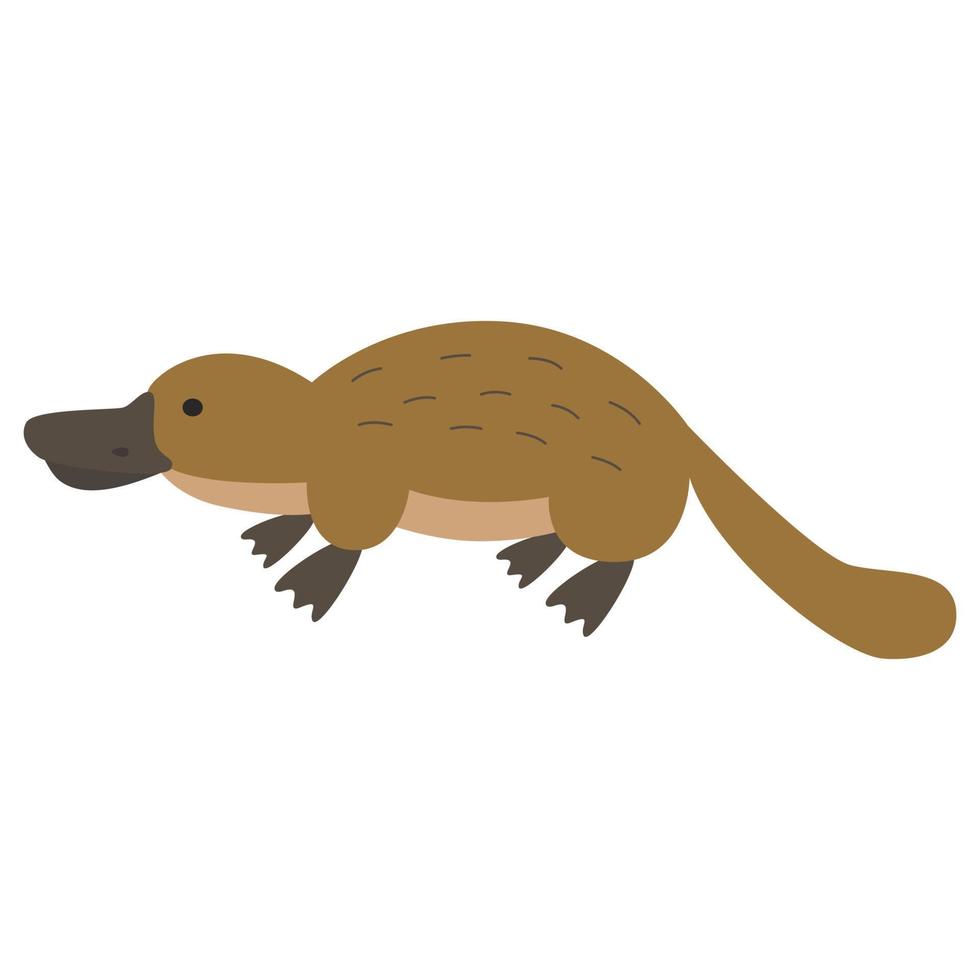 cartoon platypus fruit vector
