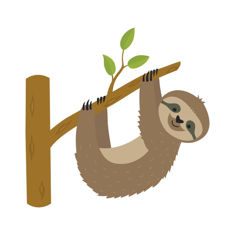 Sloth hanging on tree branch vector