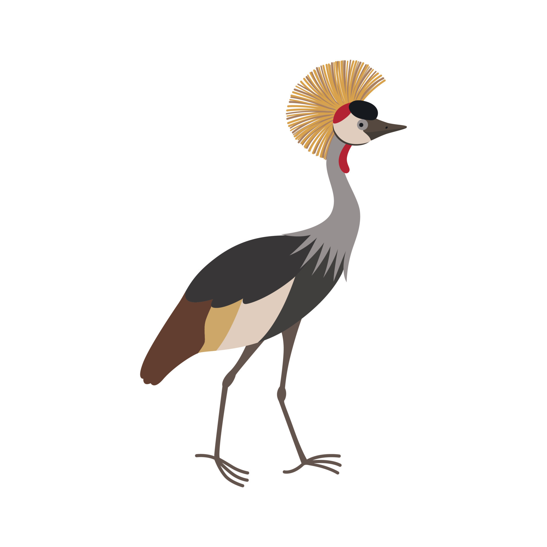 Grey crowned crane Balearica regulorum 19037744 Vector Art at Vecteezy