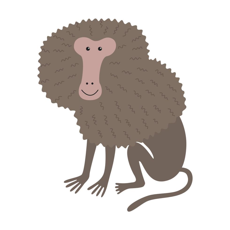 hamadryas baboon  illustration vector