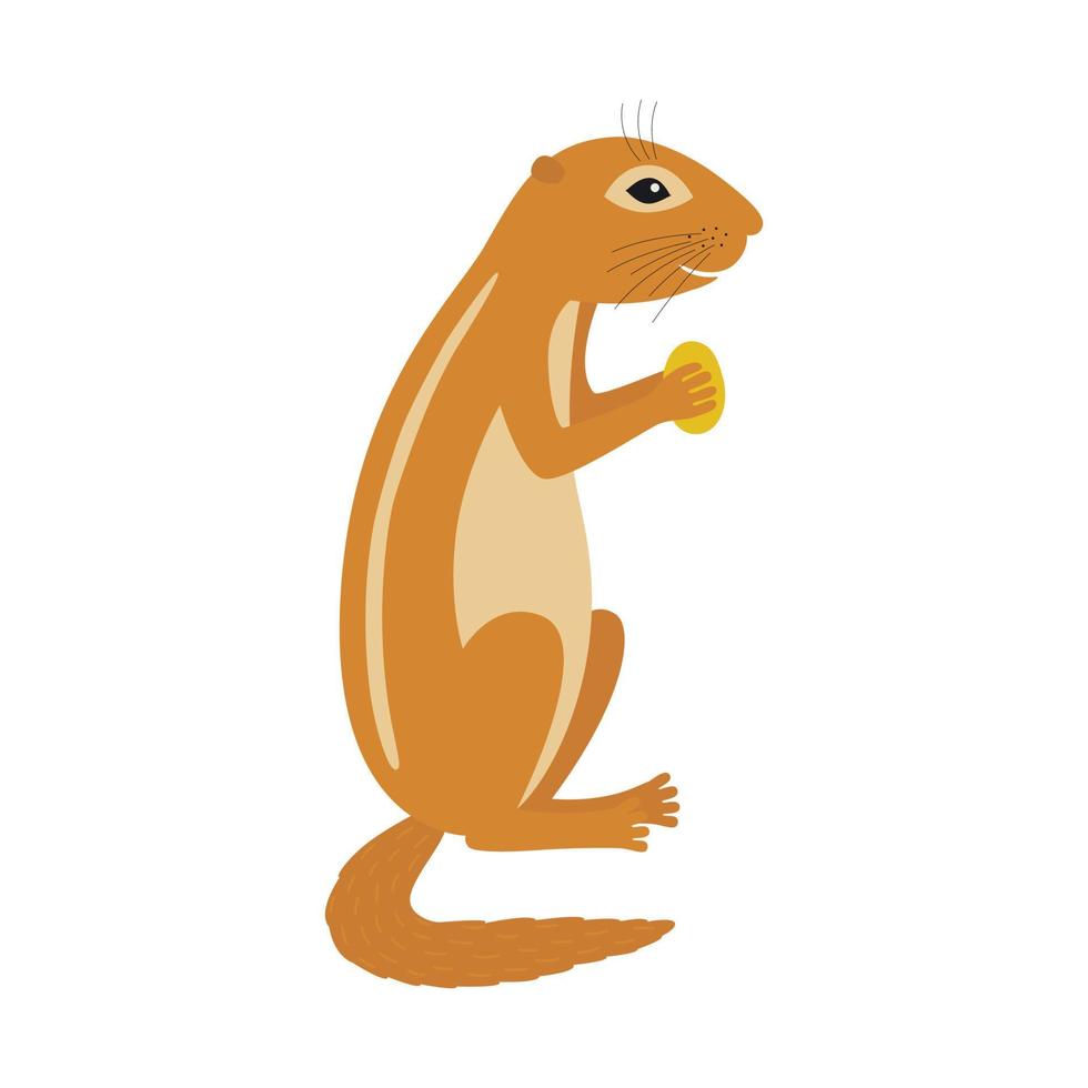 Xerus African ground squirrel holding nut animal cartoon character vector