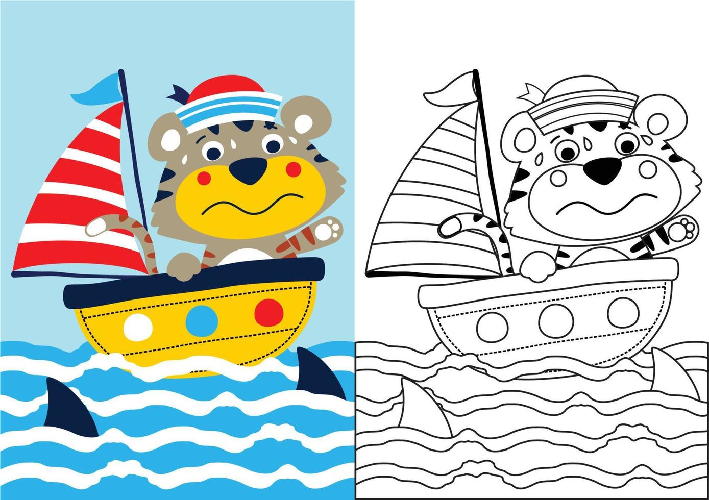 vector cartoon of funny tiger on sailboat under shark attack, coloring book or page