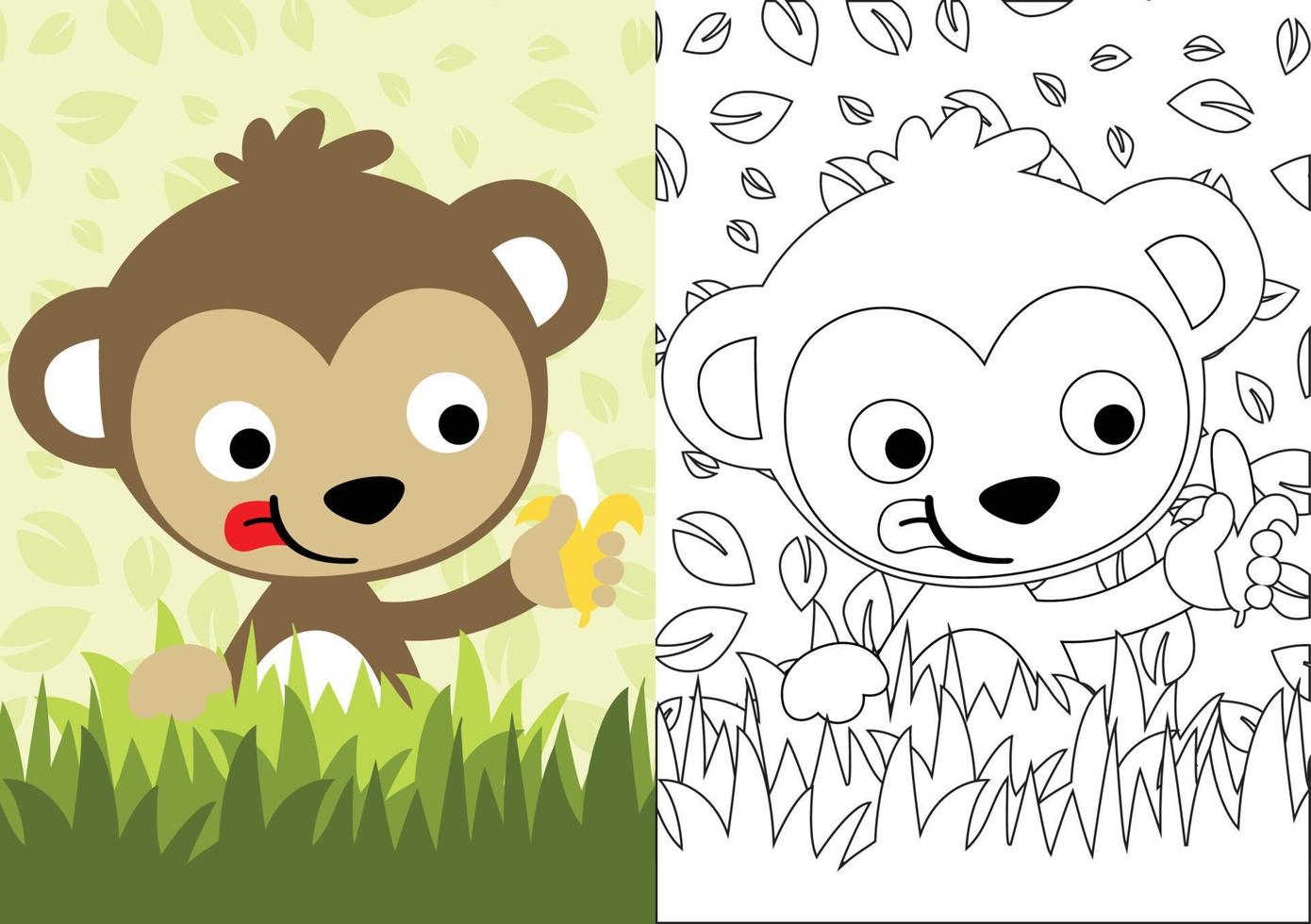 vector cartoon of monkey holding banana on leaves background, coloring book or page