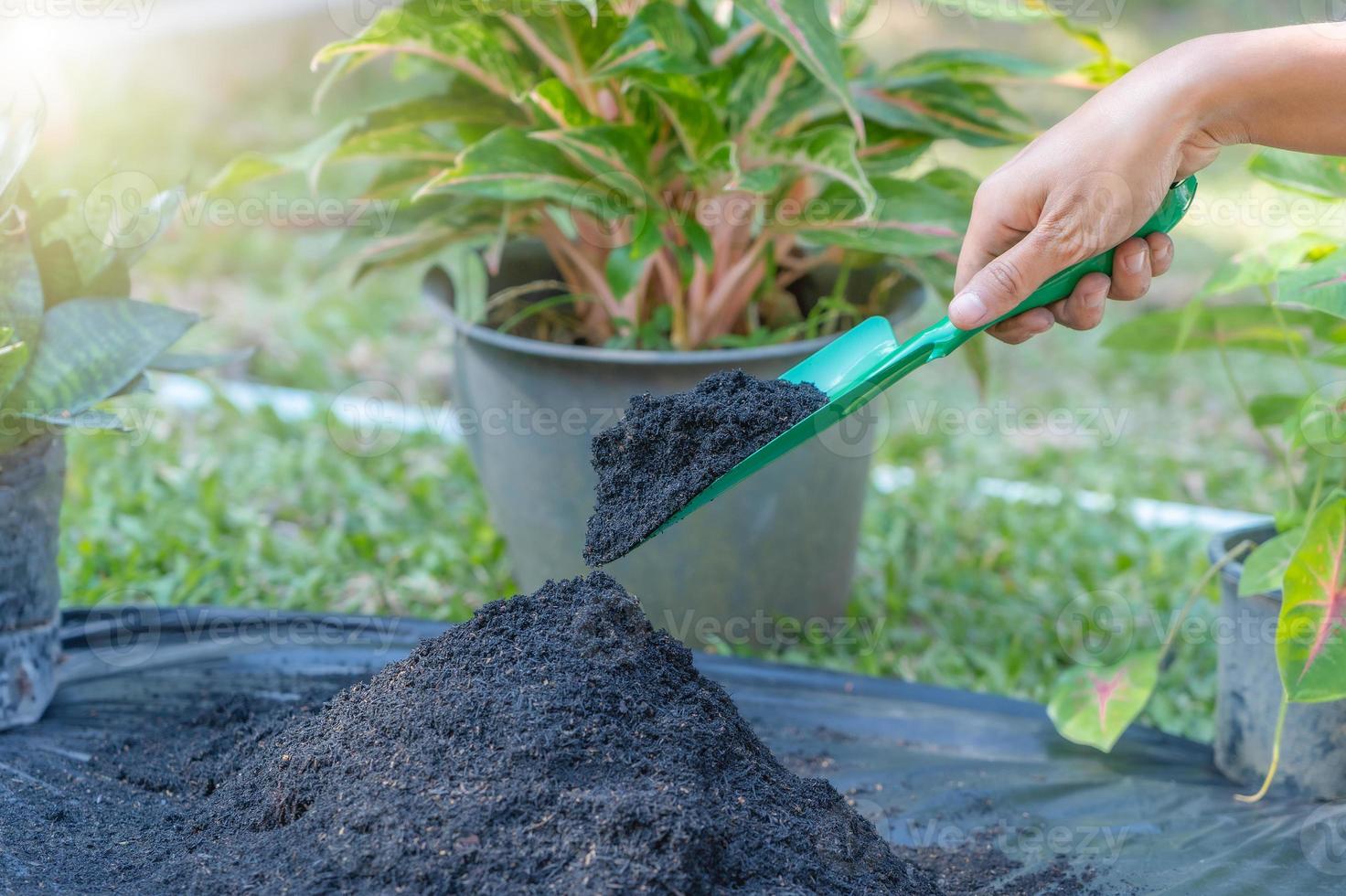 Preparation of soil mixture from fertile compost, humus and vermiculite on  black garbage bag floor in garden. Mixing the soil components for the preparation of the substrate for transplanting plants. photo