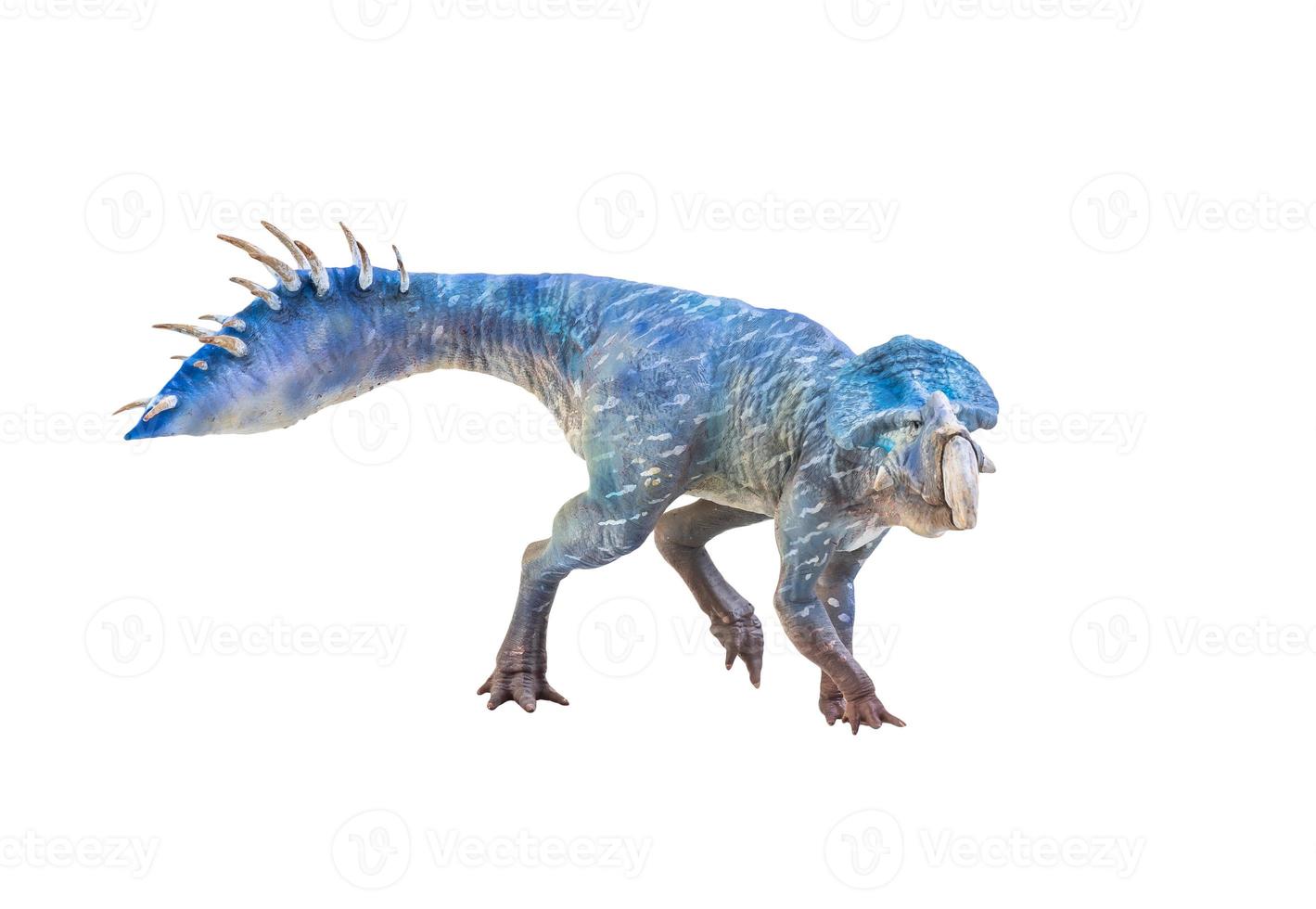 Protoceratops  , dinosaur on  isolated background photo