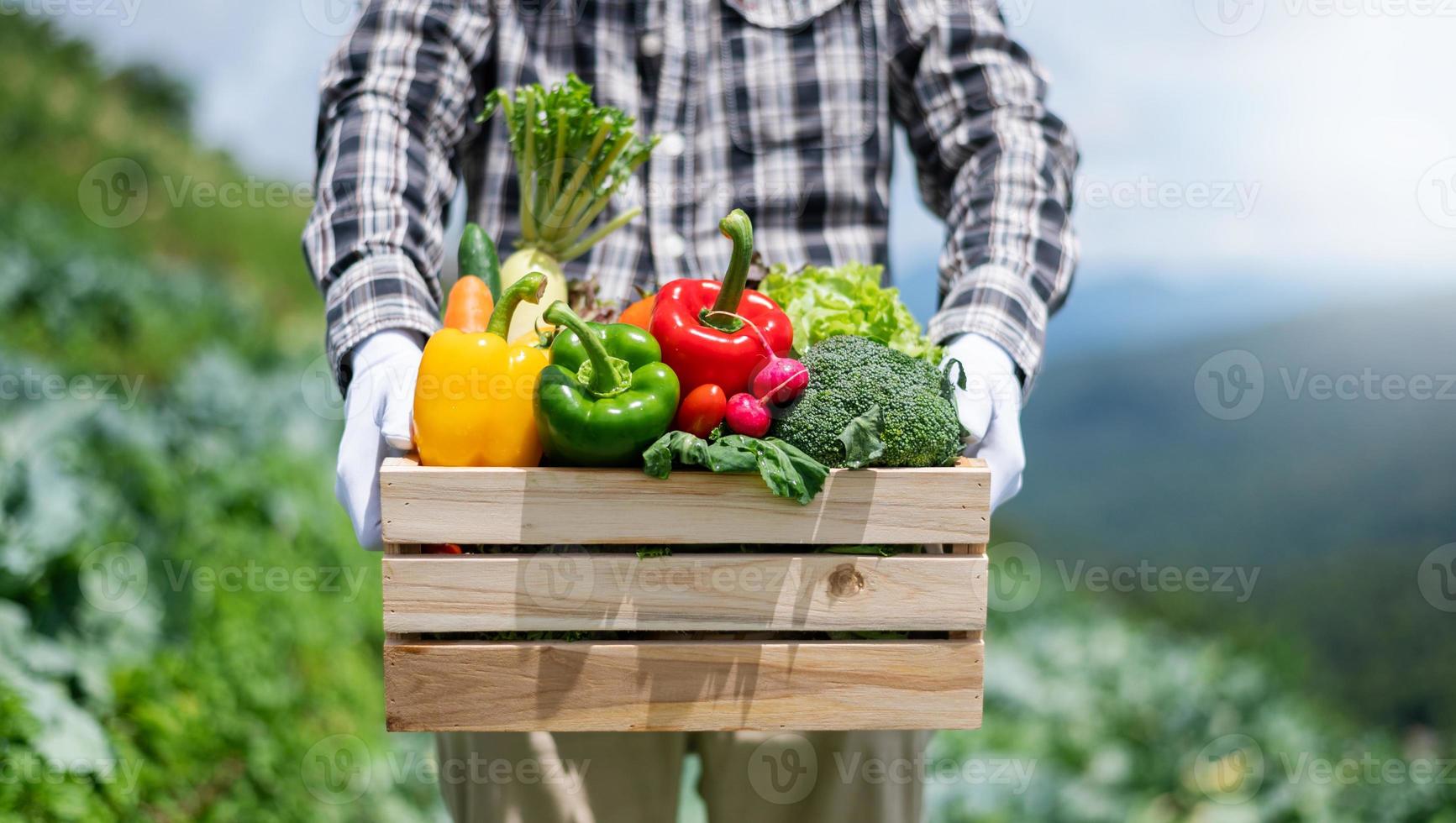 Farmer man holding wooden box full of fresh raw vegetables. Basket with fresh organic vegetable  and peppers in the hands. photo