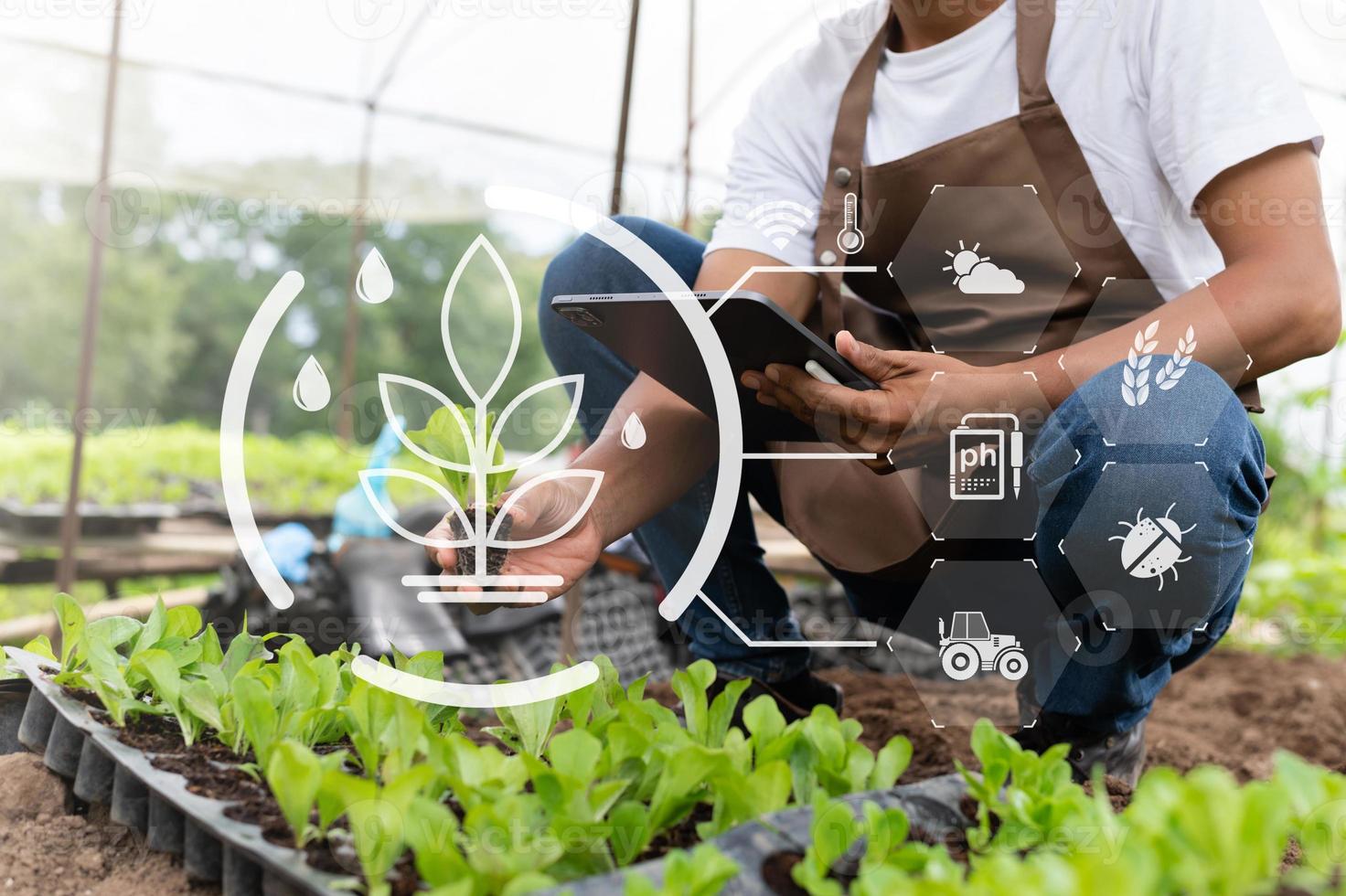 Smart farmer using application by smartphone concepts modern agricultural technology and visual icon. photo