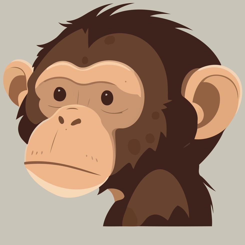 animal mamífero lindo primate chimpancé vector