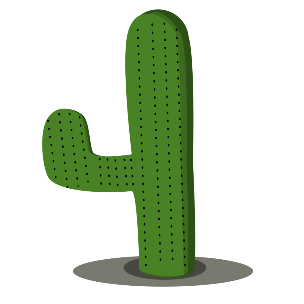 ilustración de cactus verde png