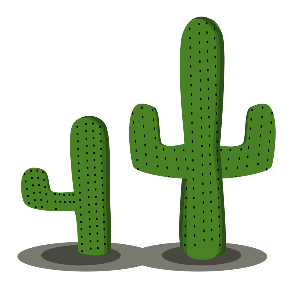 green cactus design png