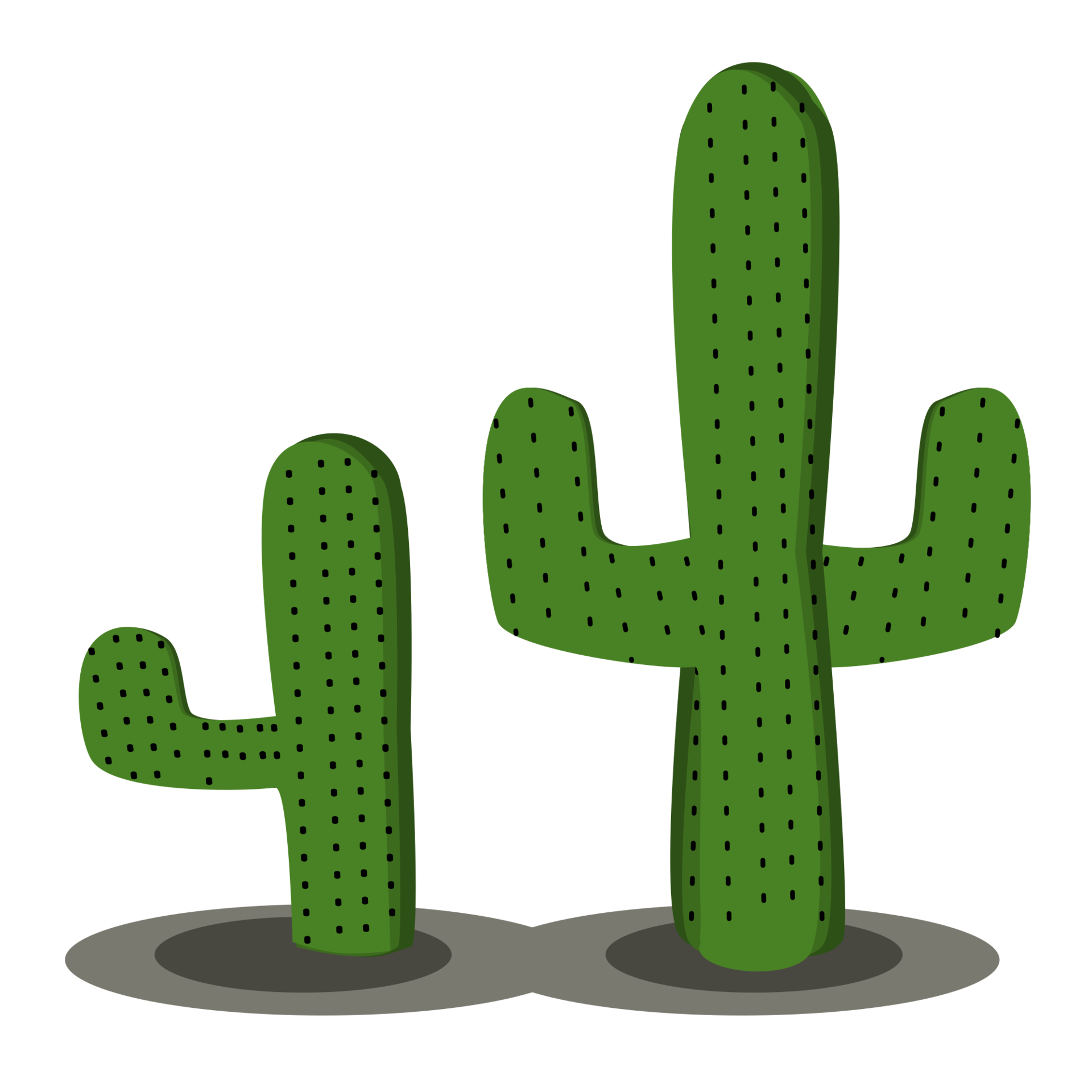 green cactus design 19040254 PNG