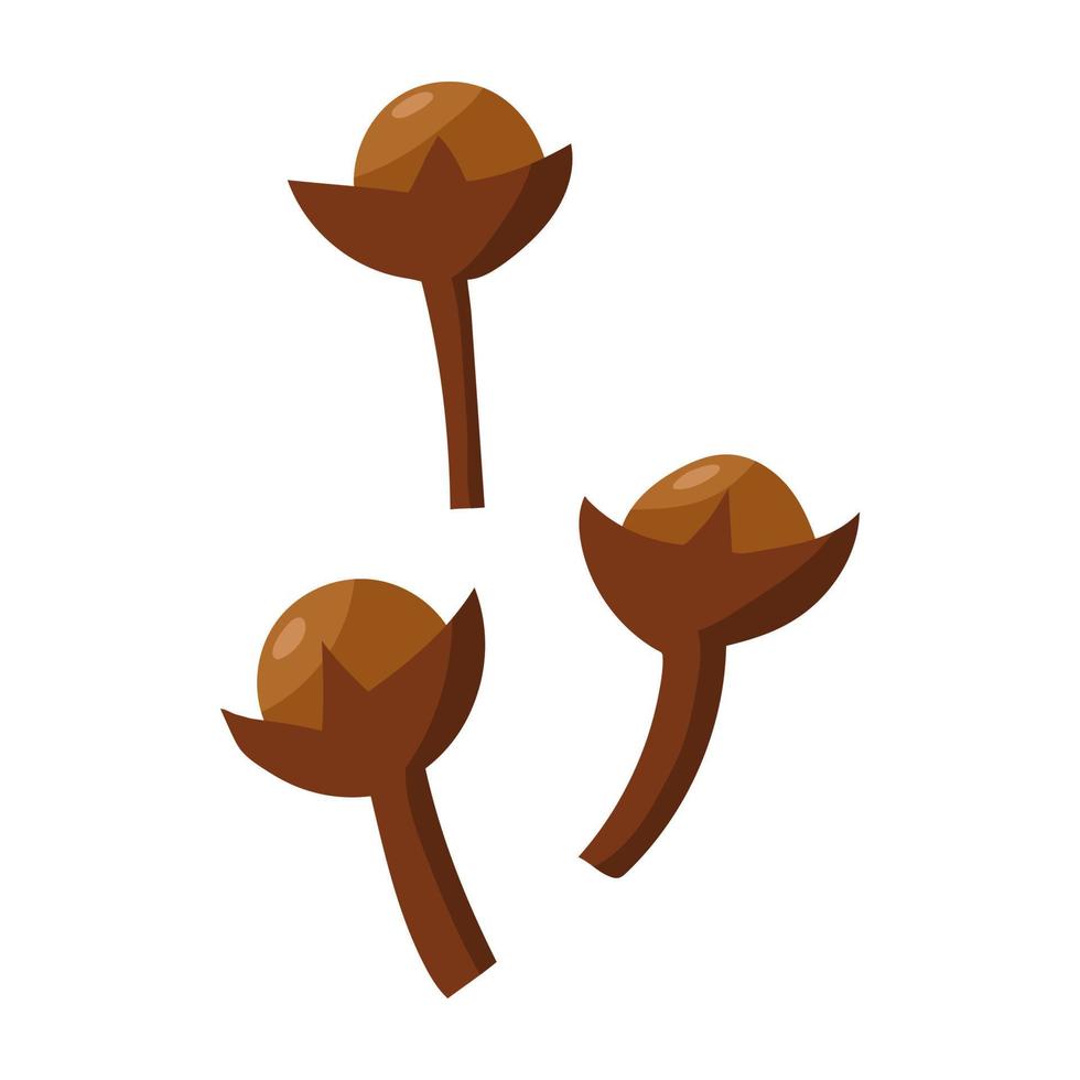 Spices are cloves. vector illustration on a white background.