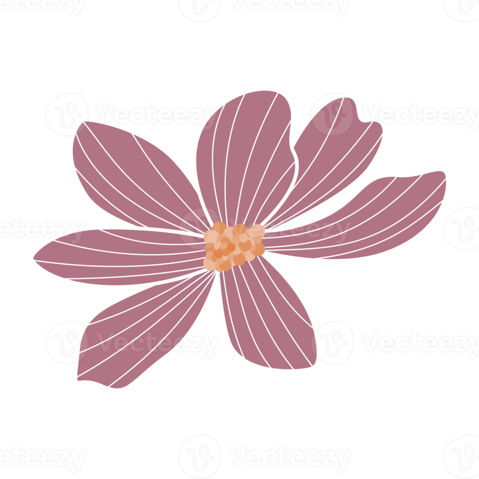 pink and white flower png