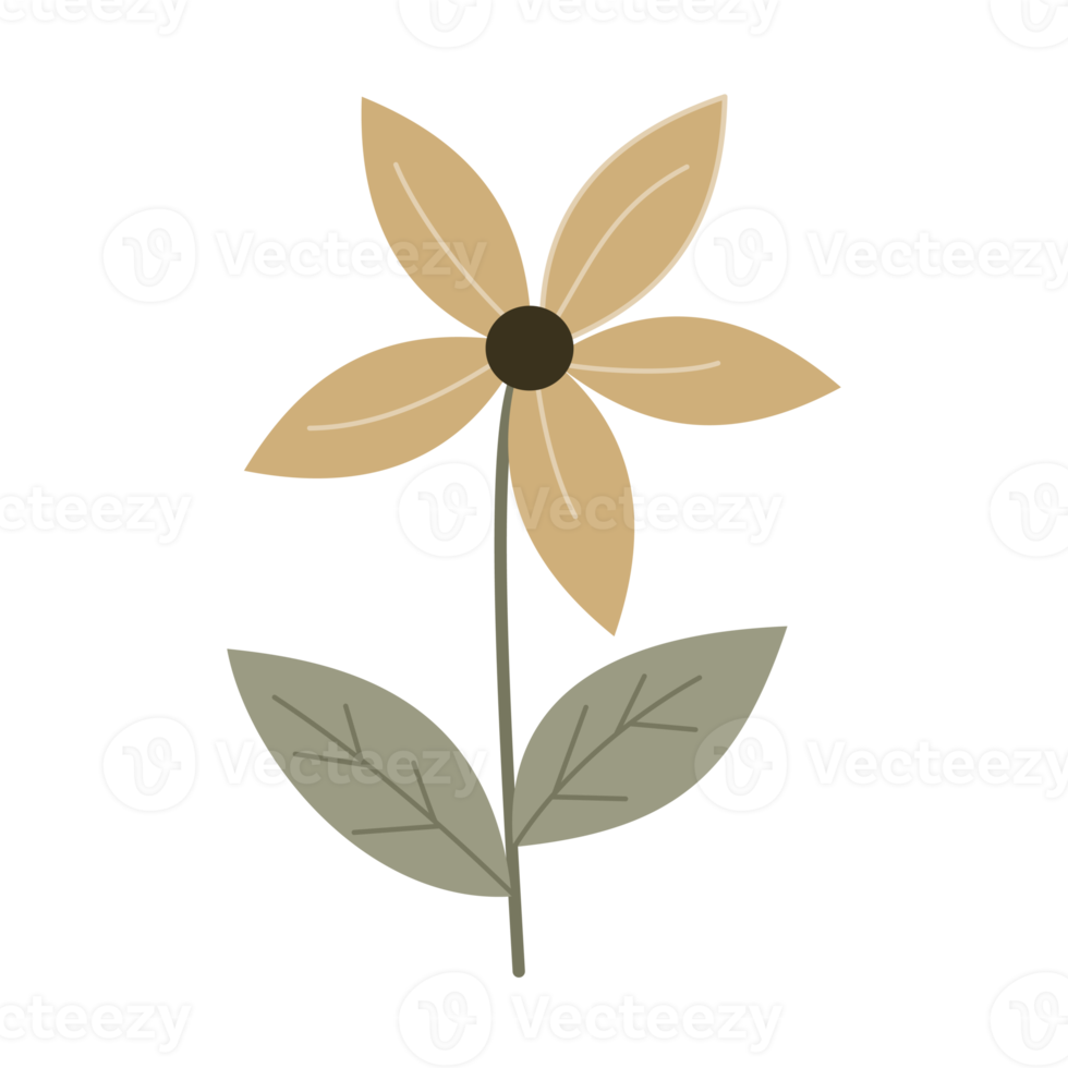 illustration d'une fleur png