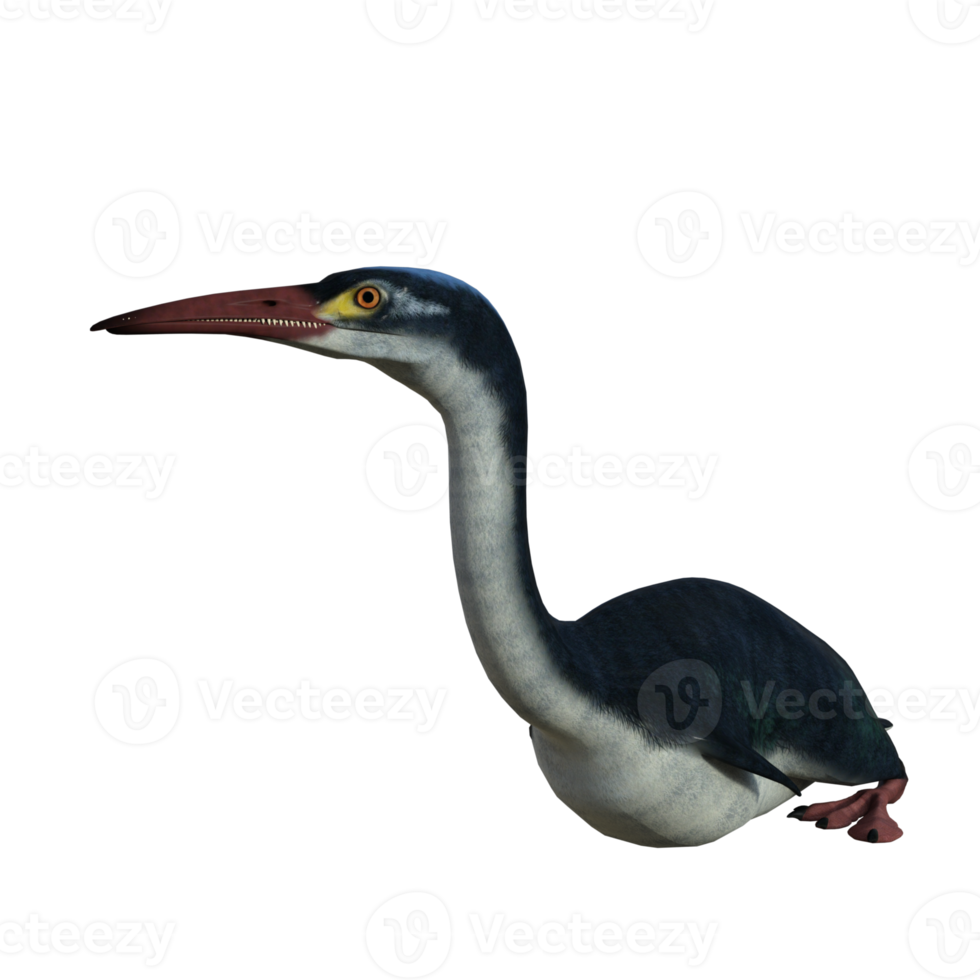 hesperornis prehistorisch vogel geïsoleerd png