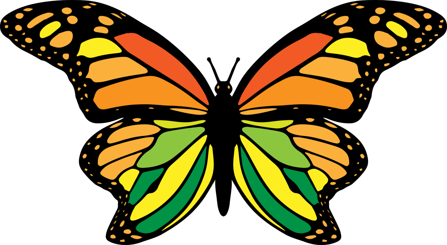 papillon png graphique clipart conception