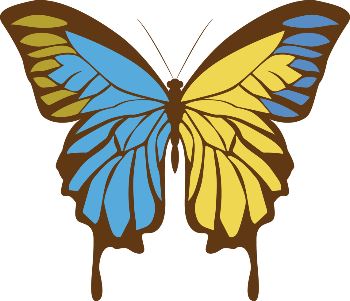 Butterfly png graphic clipart design