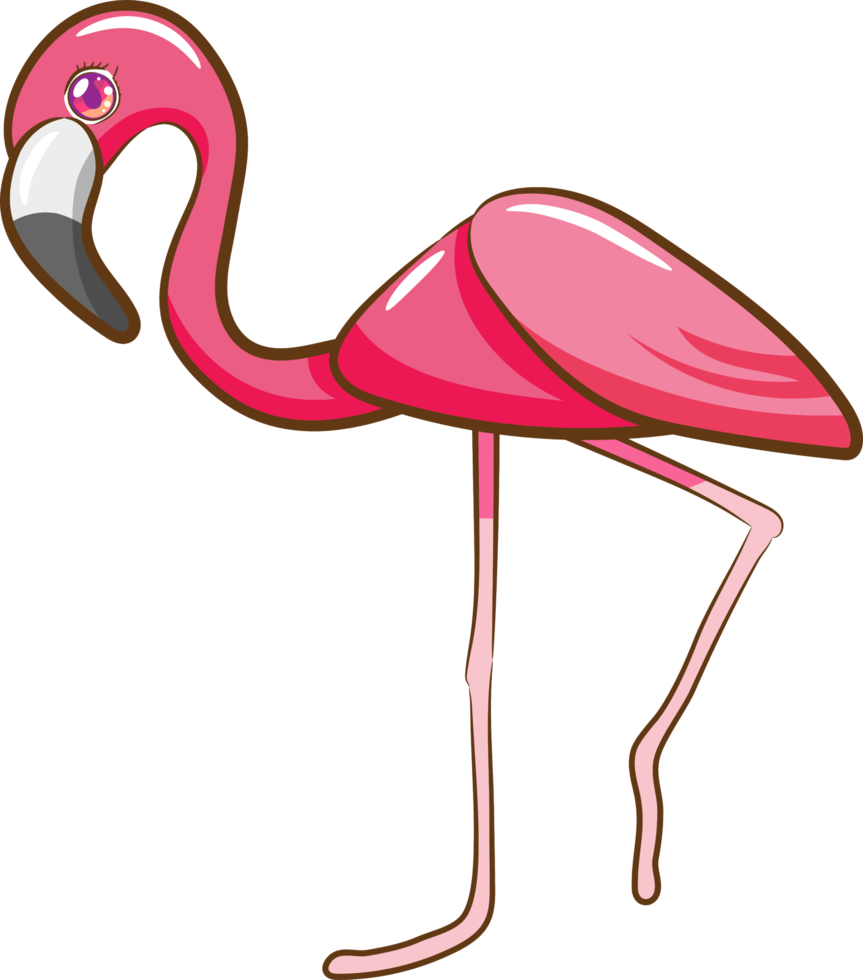 Flamingo-PNG-Grafik-Clipart-Design png