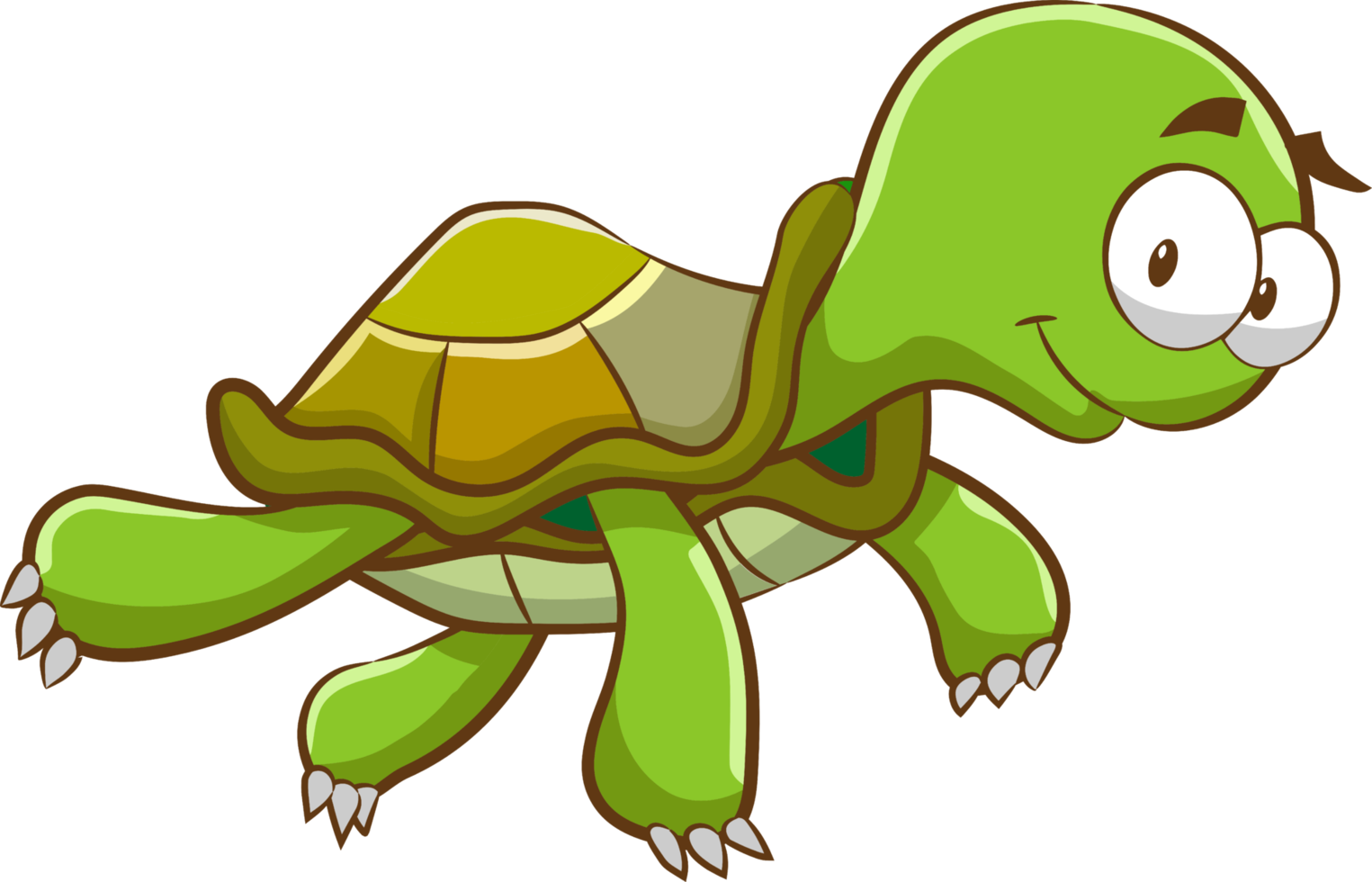 Schildkröte PNG-Grafik-Clipart-Design png