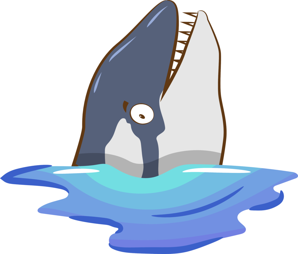 orca png gráfico clipart diseño