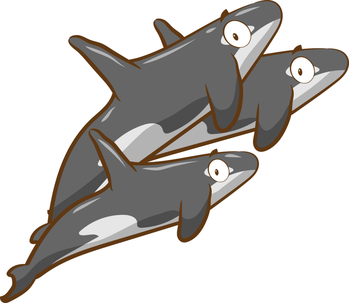 design de clipart gráfico png orca