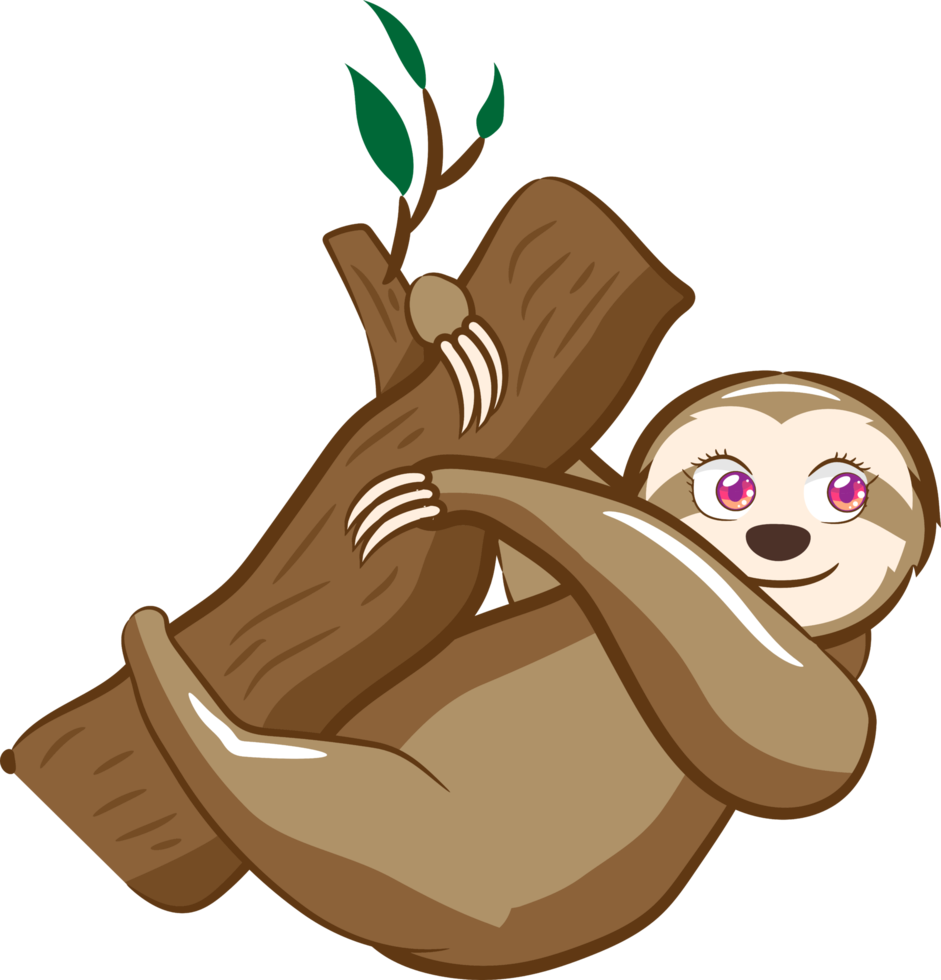 Sloth png graphic clipart design