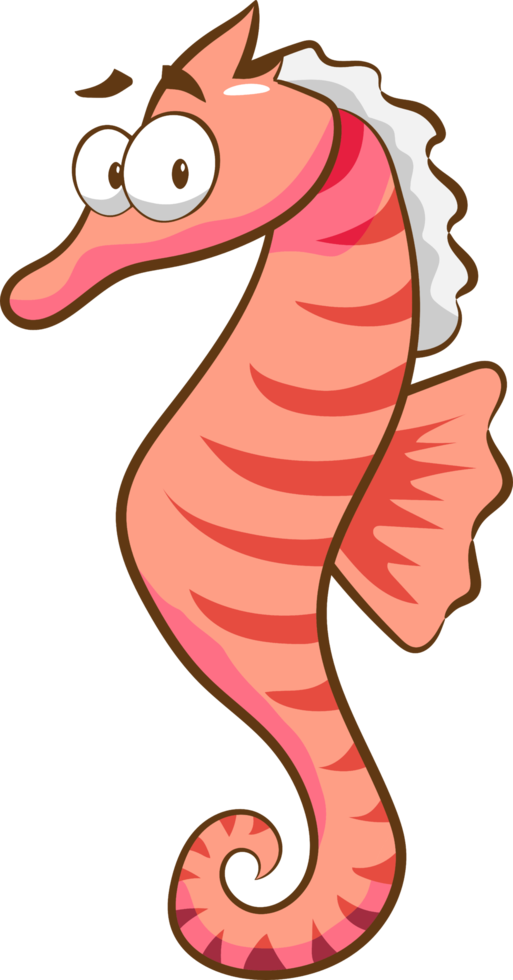 seahorse png graphic clipart design