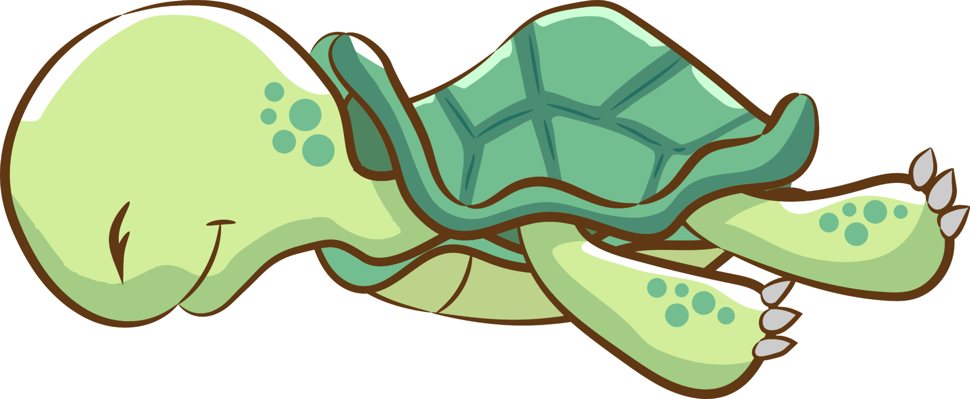 Turtle png graphic clipart design