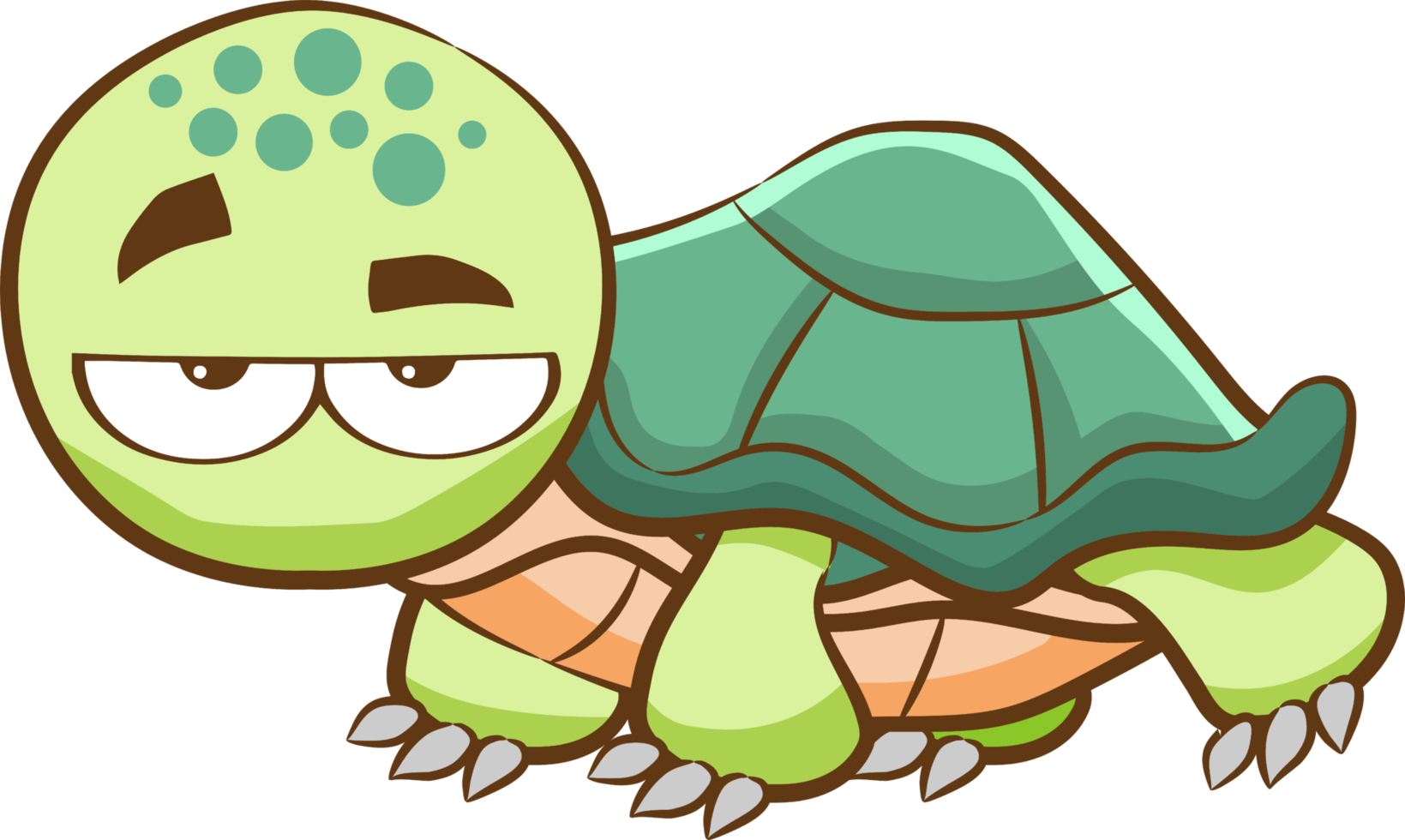 Turtle png graphic clipart design