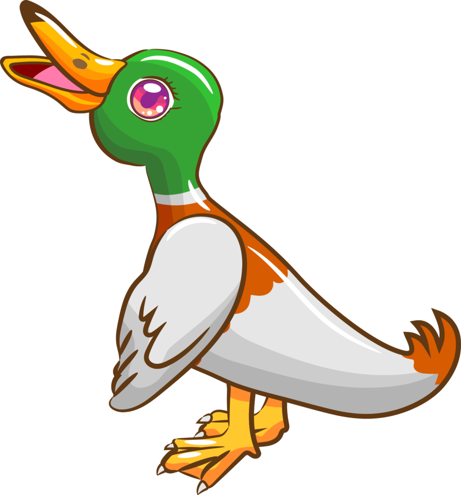 Enten-PNG-Grafik-Clipart-Design png