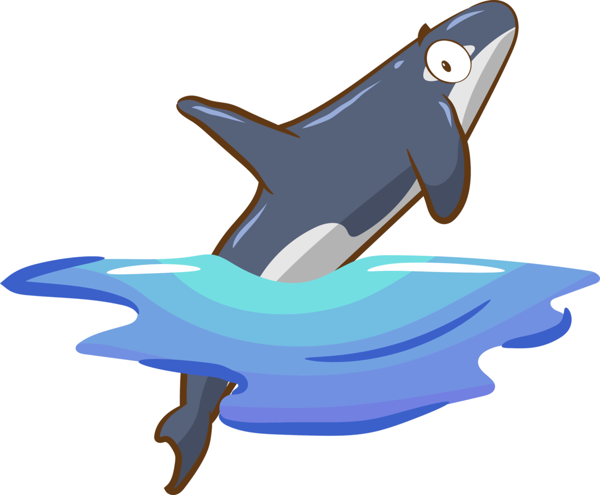 Orca png graphic clipart design