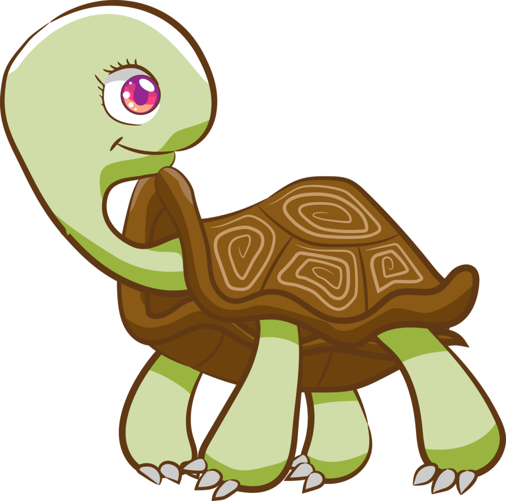 Schildkröte PNG-Grafik-Clipart-Design png