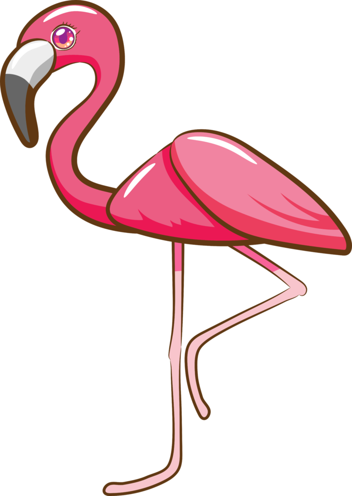 flamant rose png conception de clipart graphique