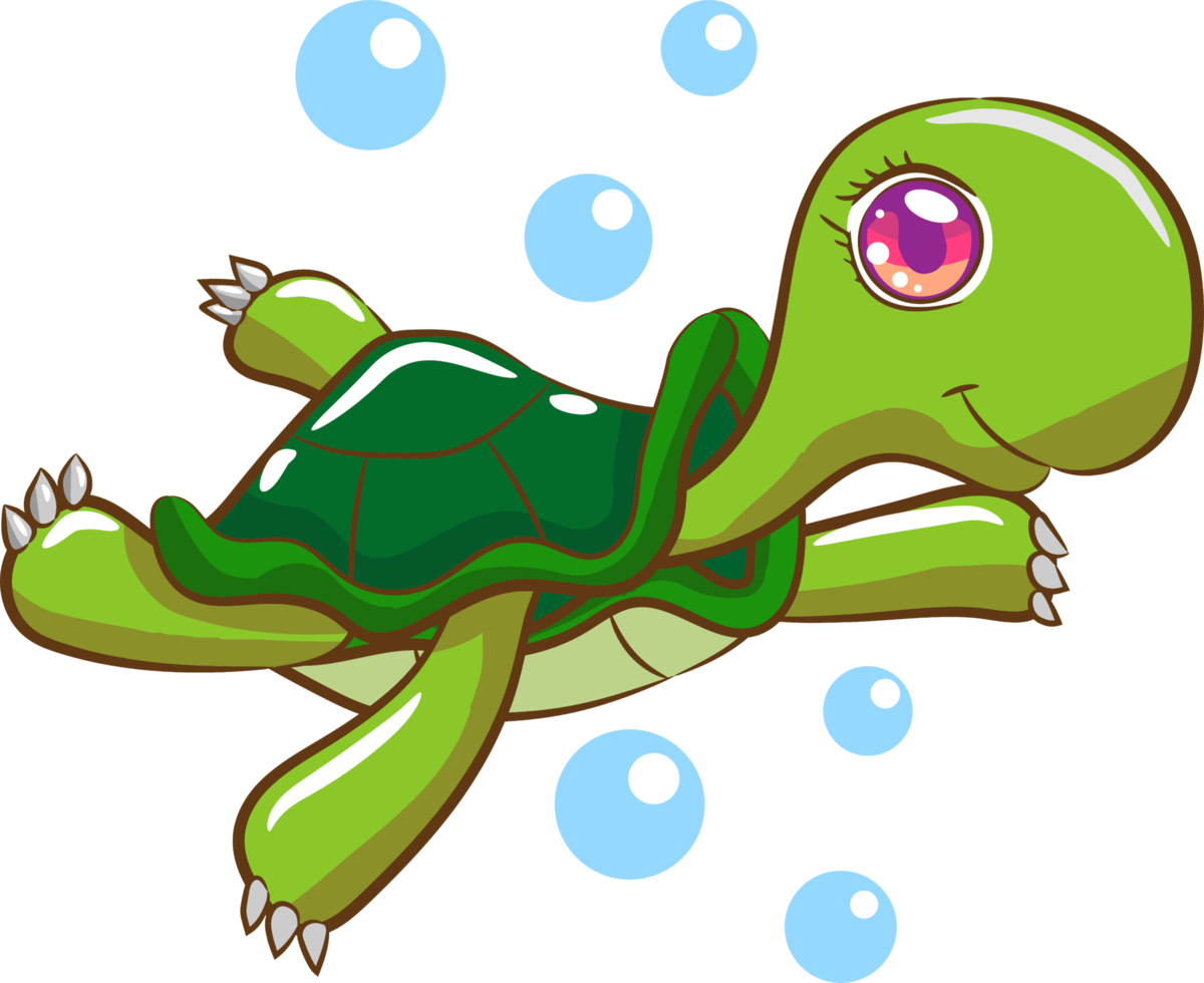 Free Turtle png graphic clipart design 19045904 PNG with Transparent  Background