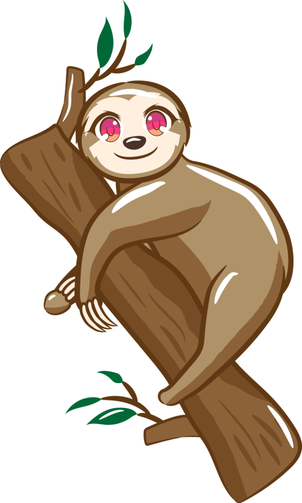 Sloth png graphic clipart design