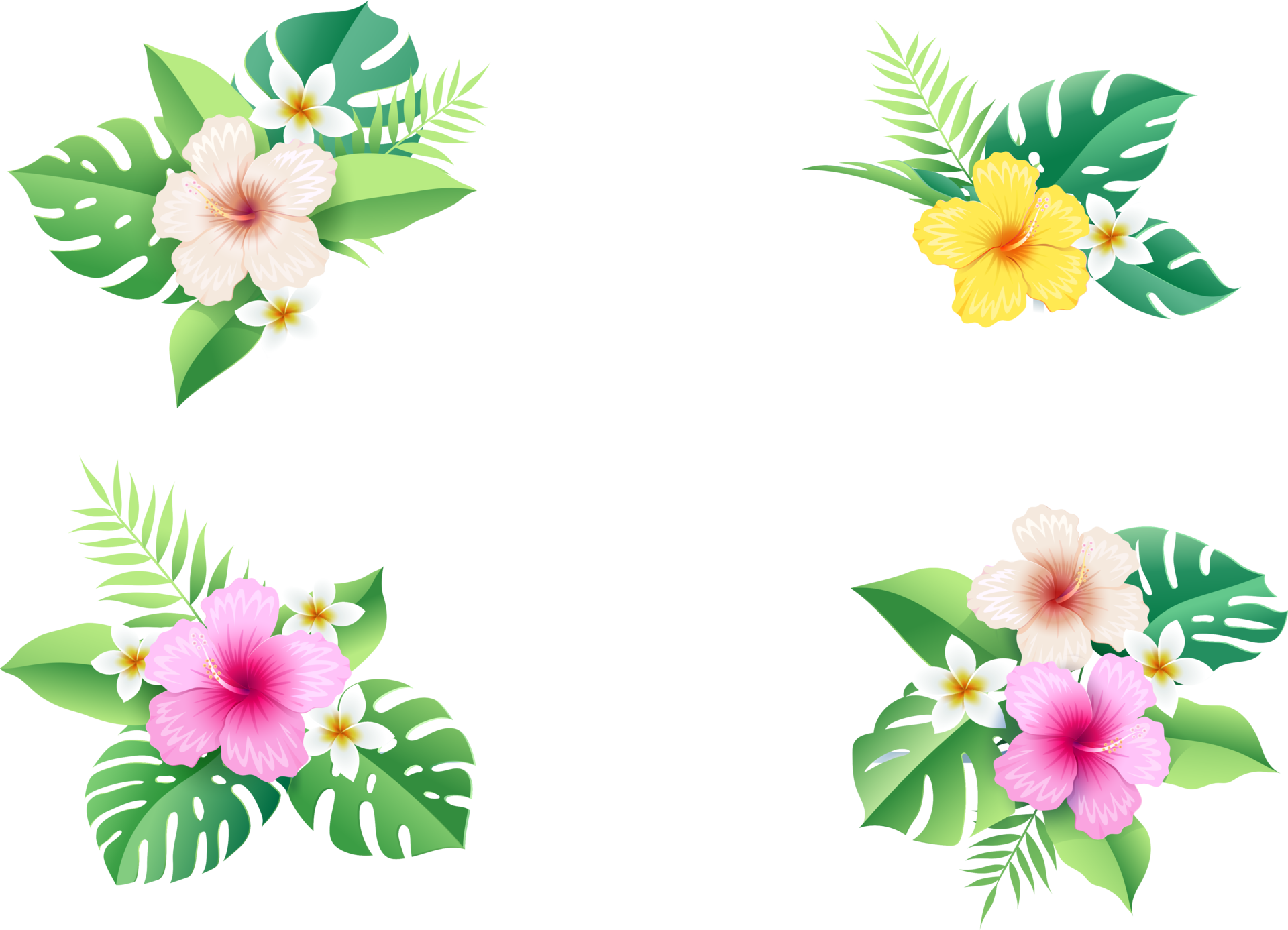 hibiscus flowers on tropical leaf frame 19046241 PNG
