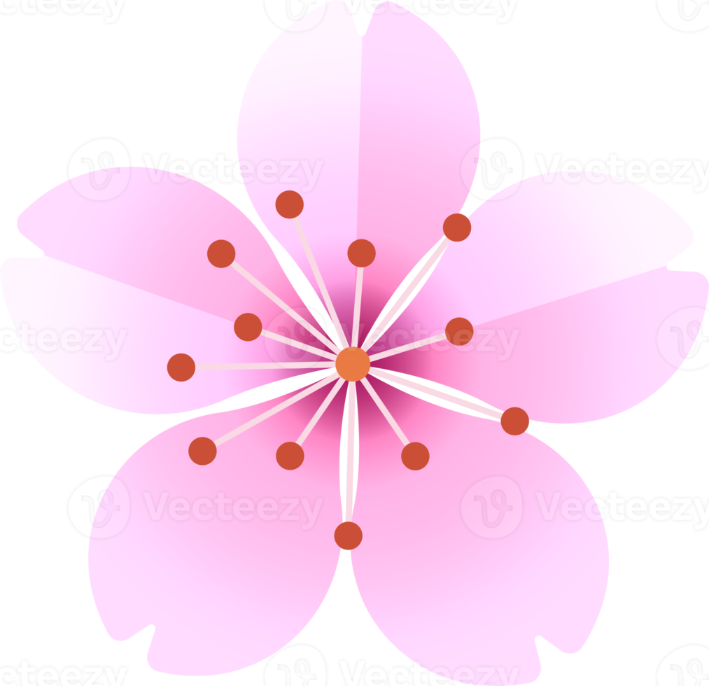 fleur de sakura japon icône png