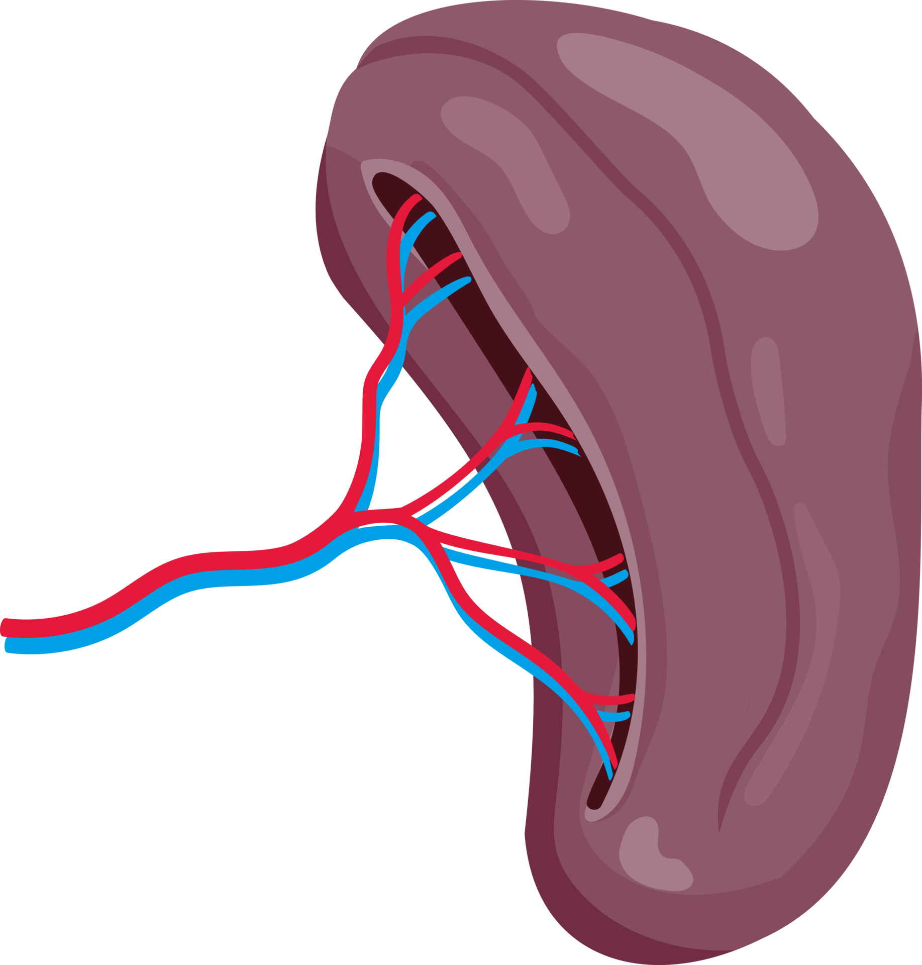Spleen symbol icon 19046471 PNG