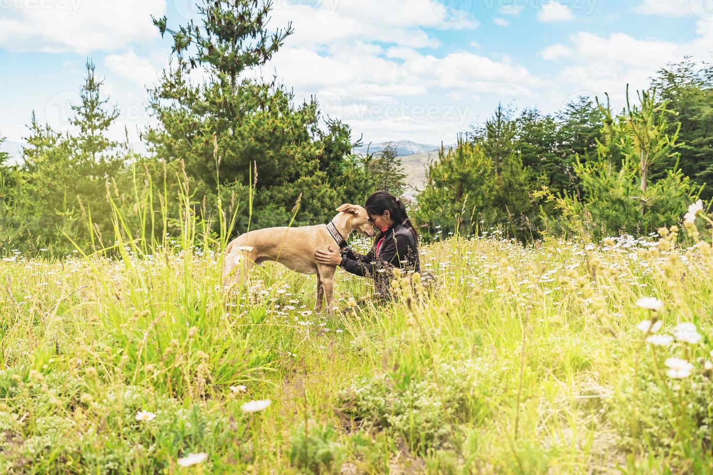 Cute dog loves her owner. photo