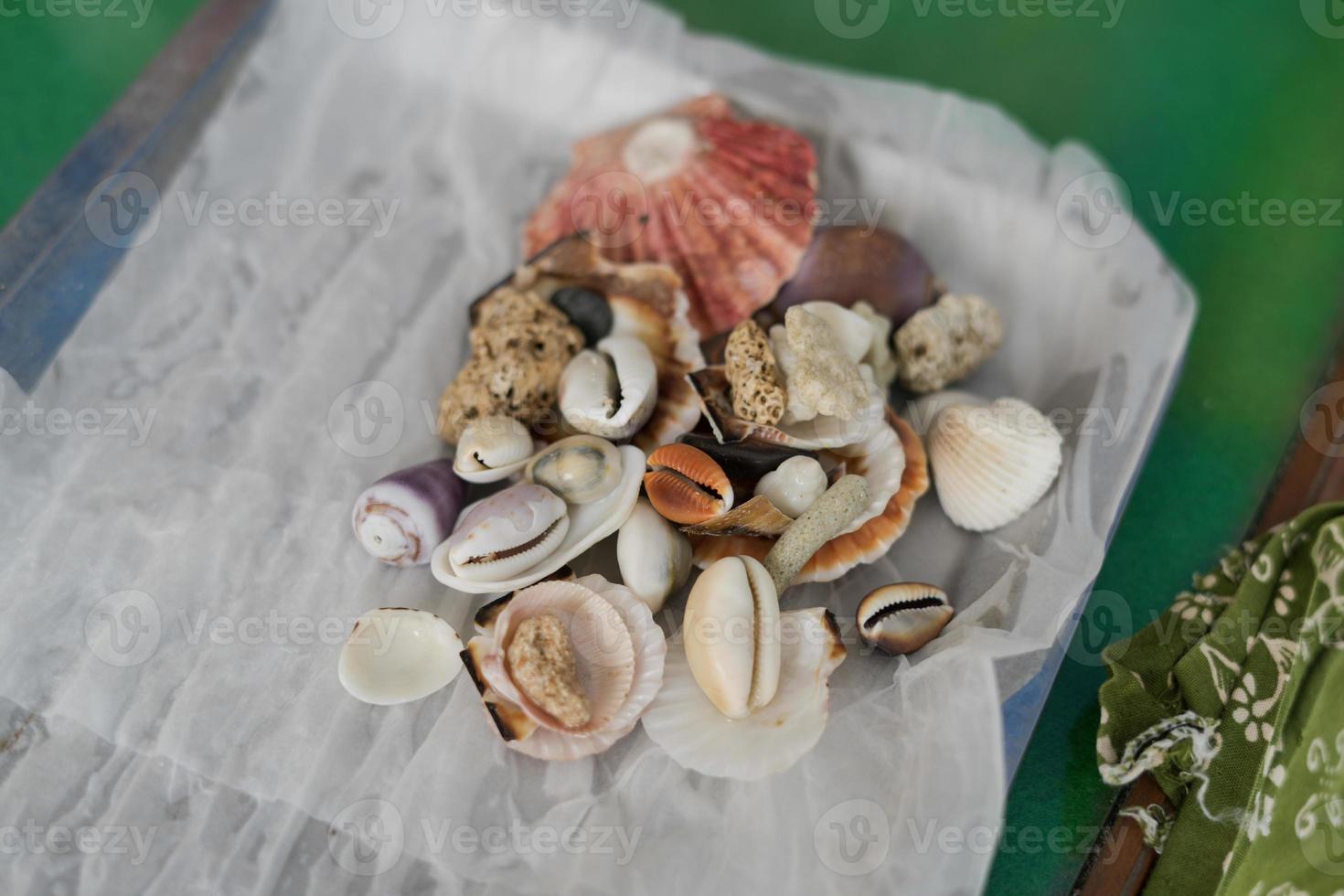 A collection of seashells that have been washed on paper towels to make high-value handicrafts photo