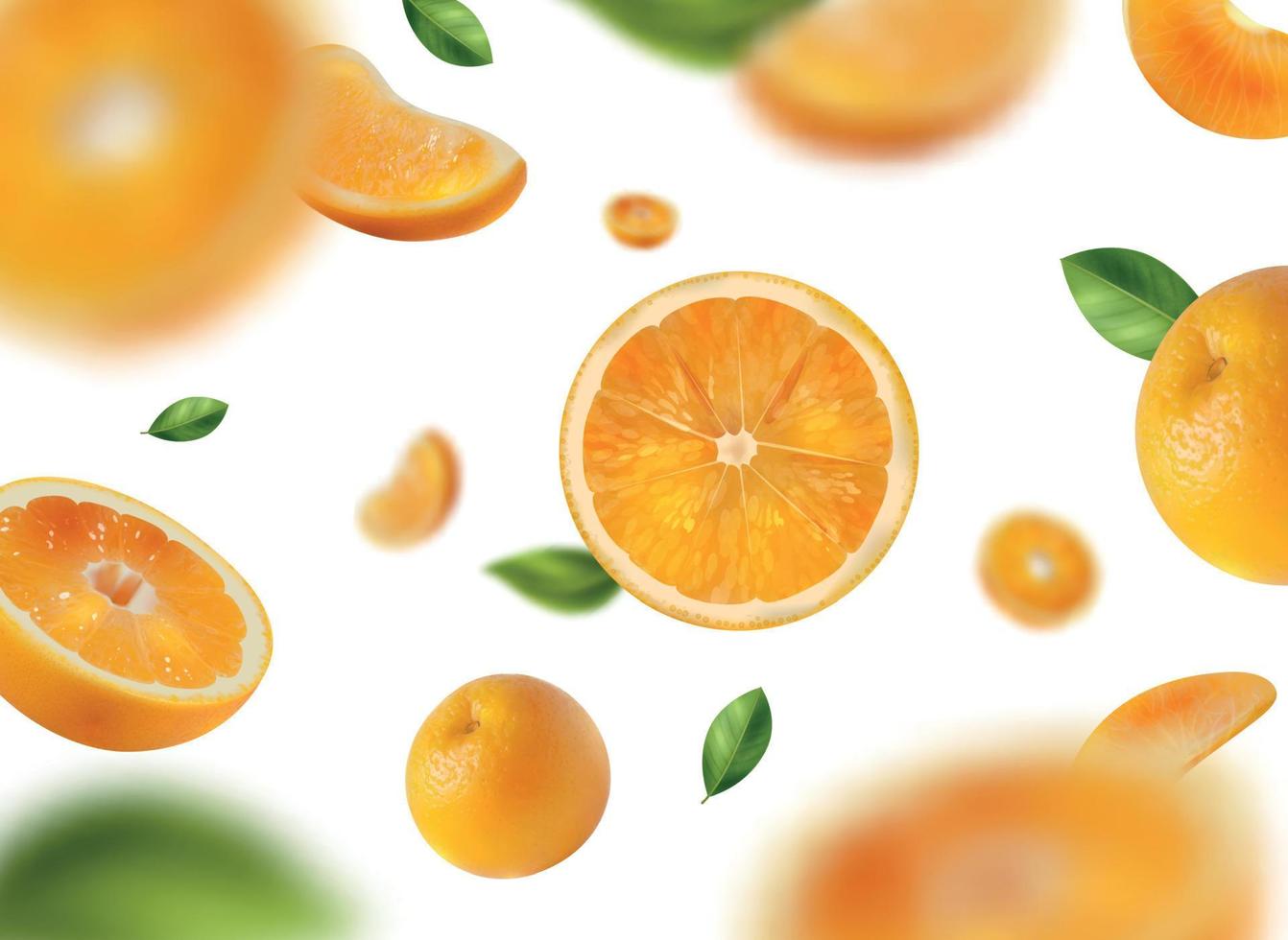 Realistic Oranges Background vector