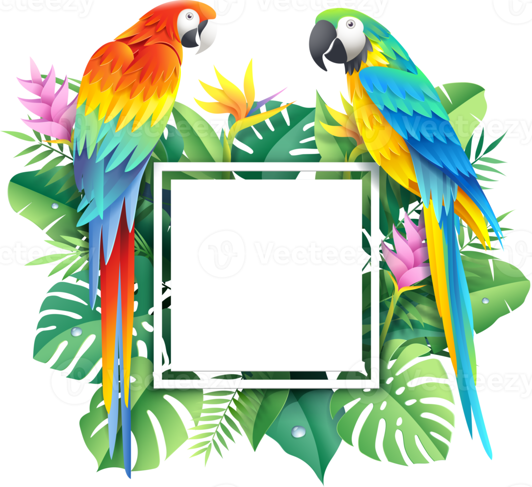 scarlet and blue macaw on tropical leaf png