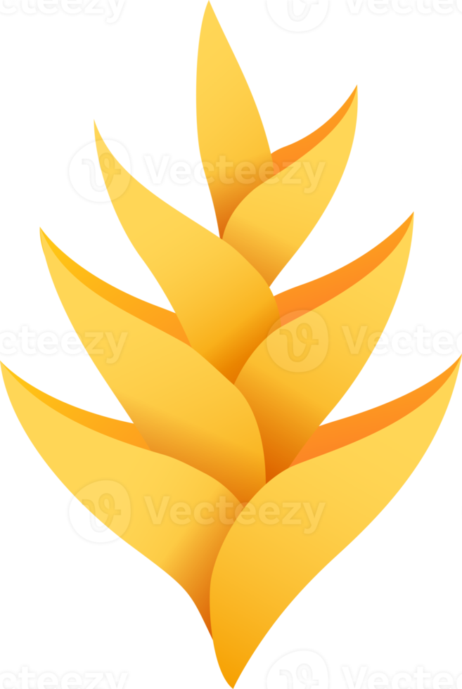 Bird of paradise flowers png