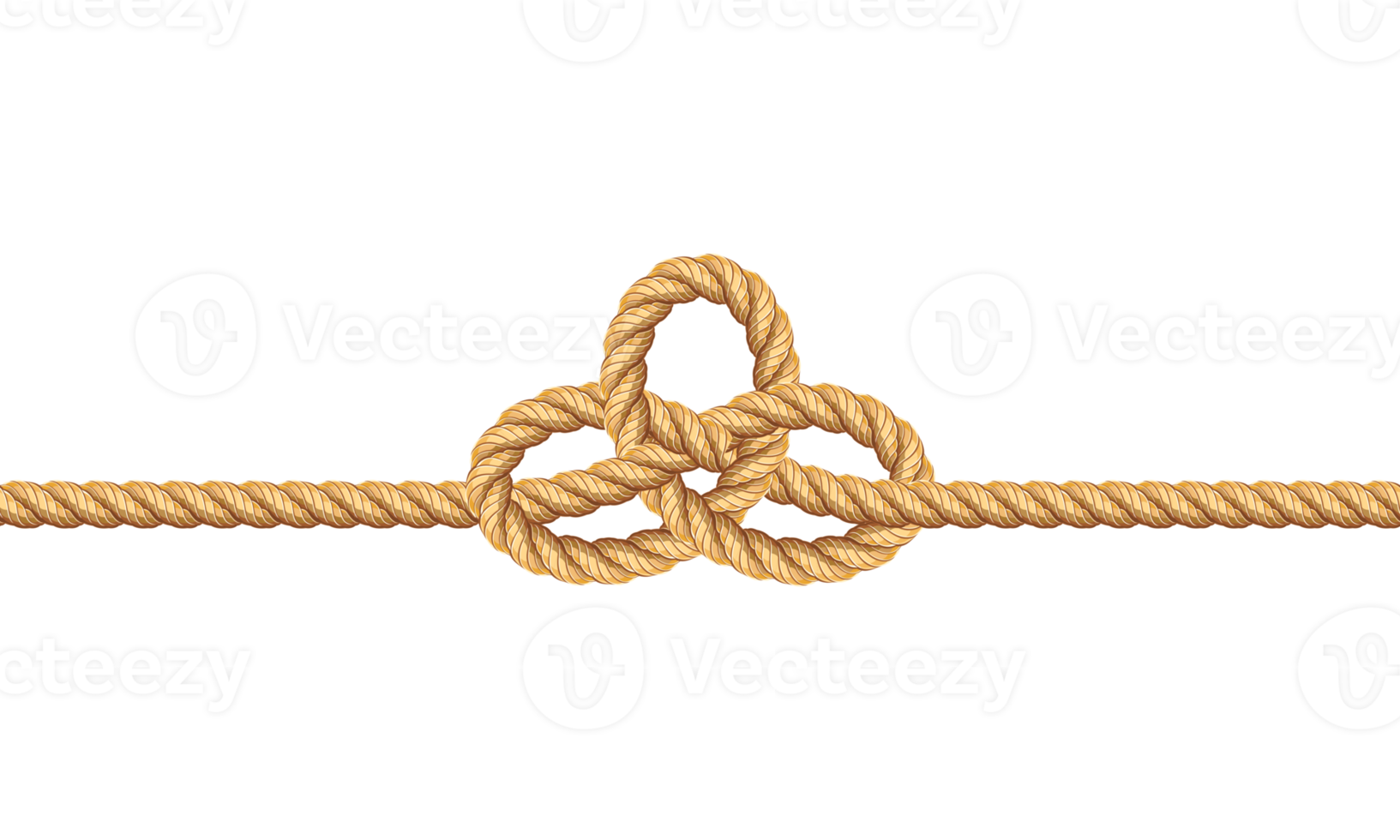 Rope knots line 19046866 PNG