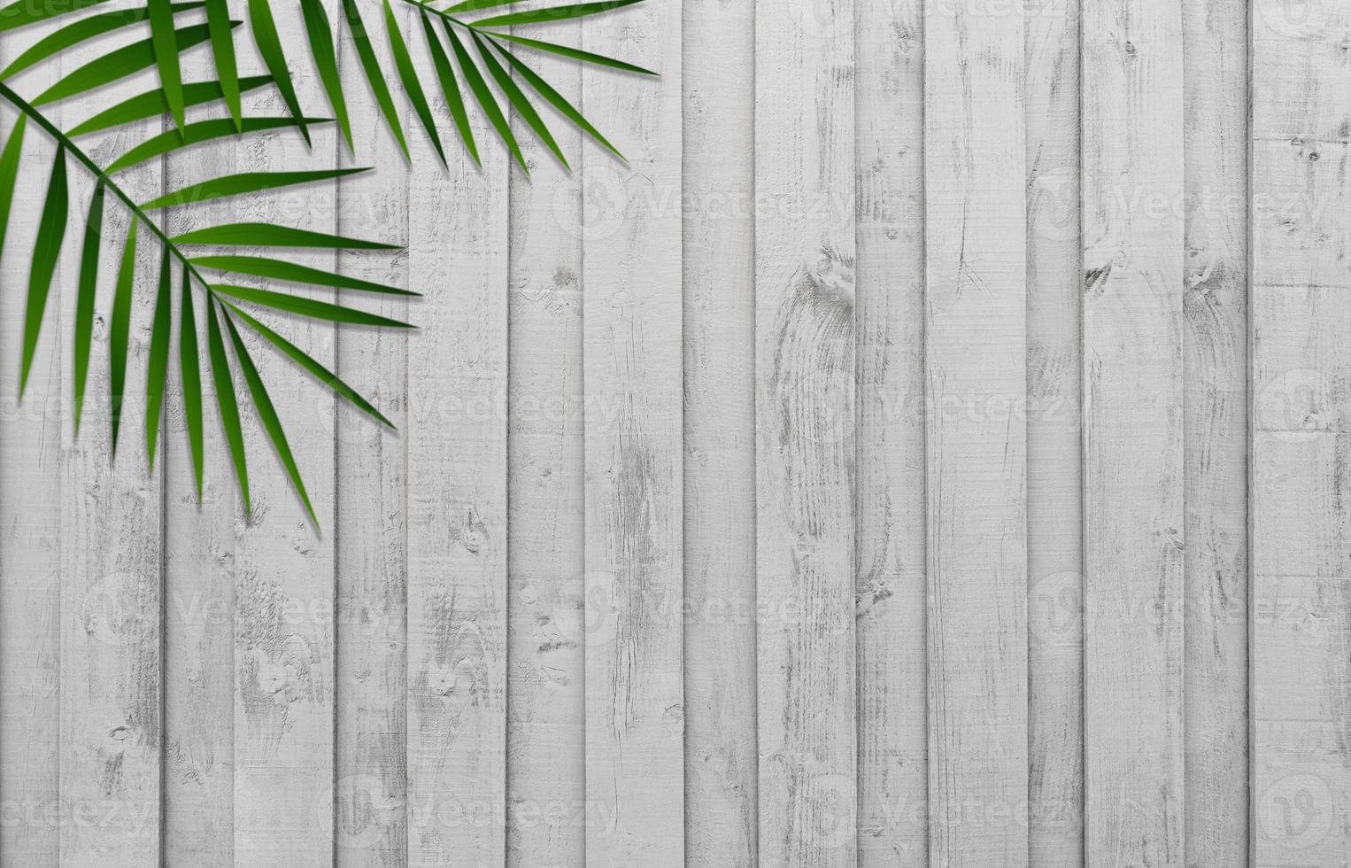 madera blanca con fondo borroso de hojas de palma de coco, ramas verdes borrosas de hojas sobre textura de madera lavada, superficie de pared de valla de jardín vintage, mesa de tablones de fondo de horizonte amplio para el presente del producto foto
