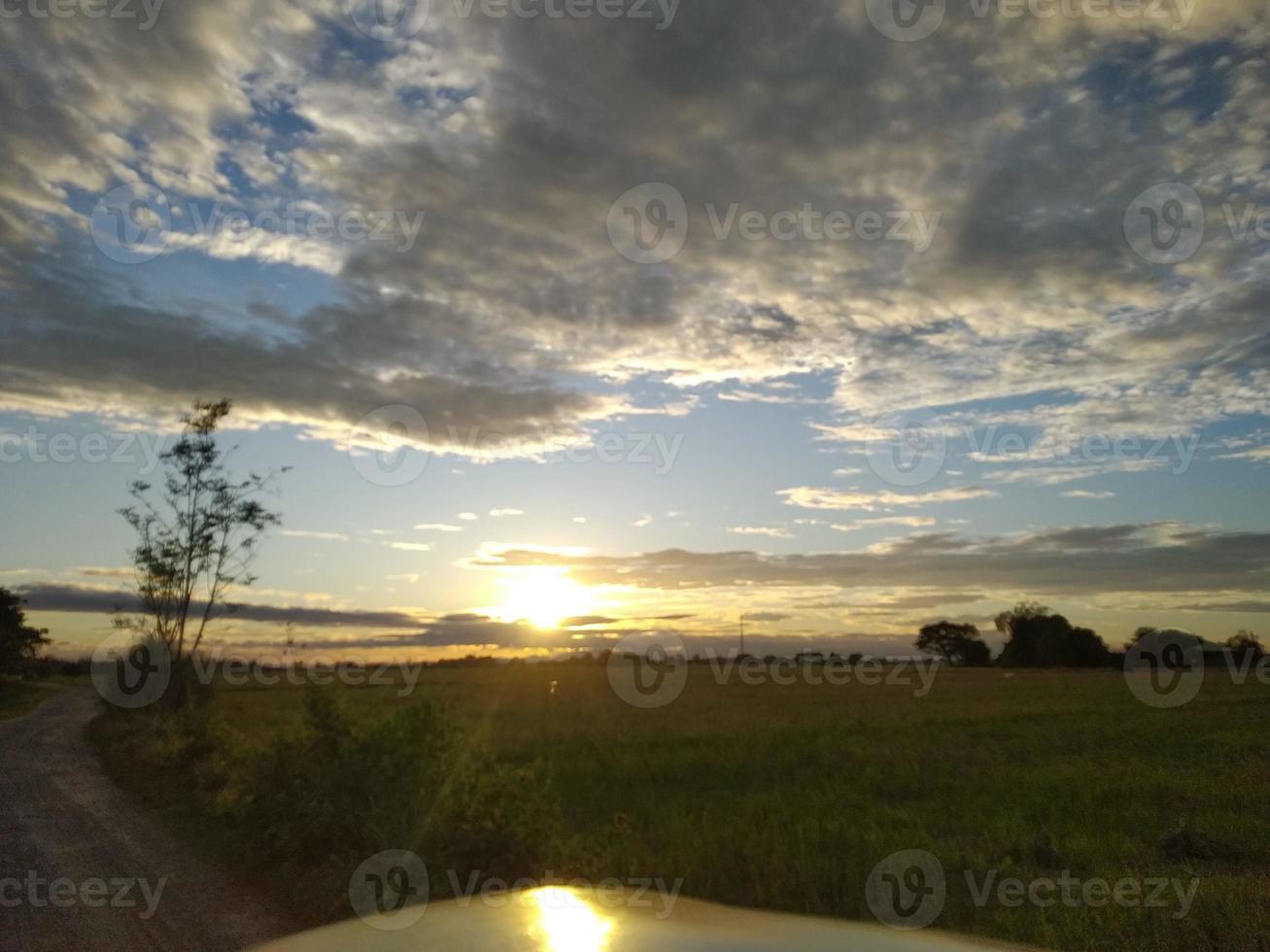 Cloudy ricefield sunset view photo
