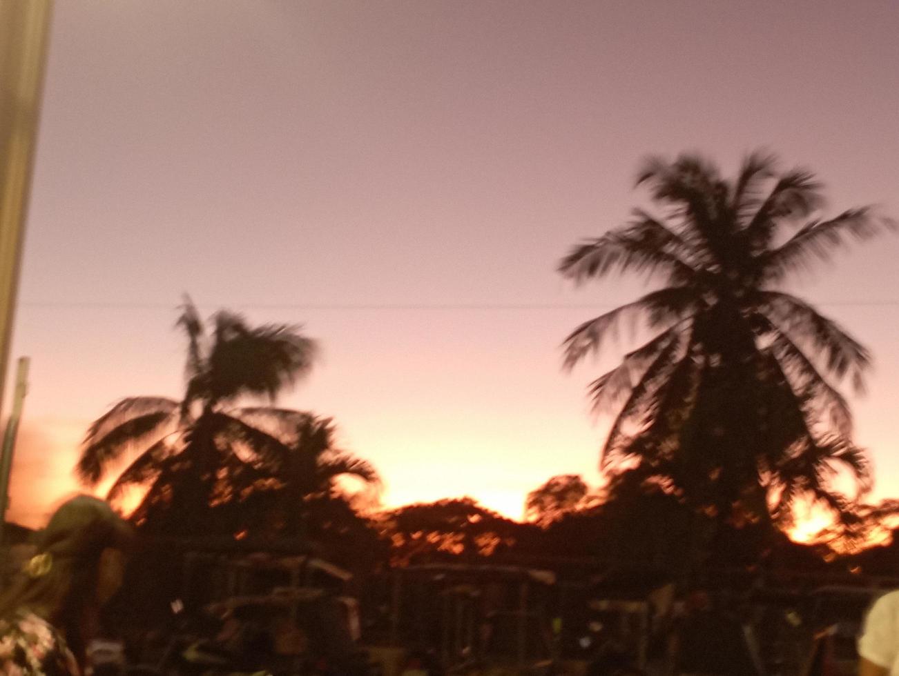 Dramatic Sunset sky beyond coconut trees photo